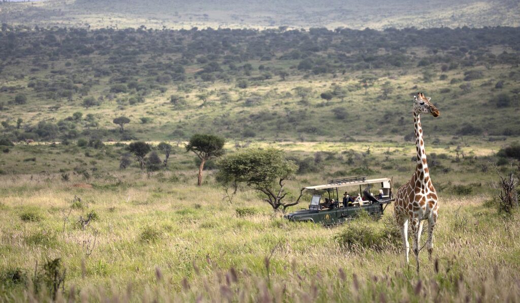 game drive at Lewa Conservancy