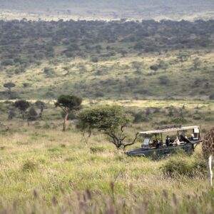 game drive at Lewa Conservancy