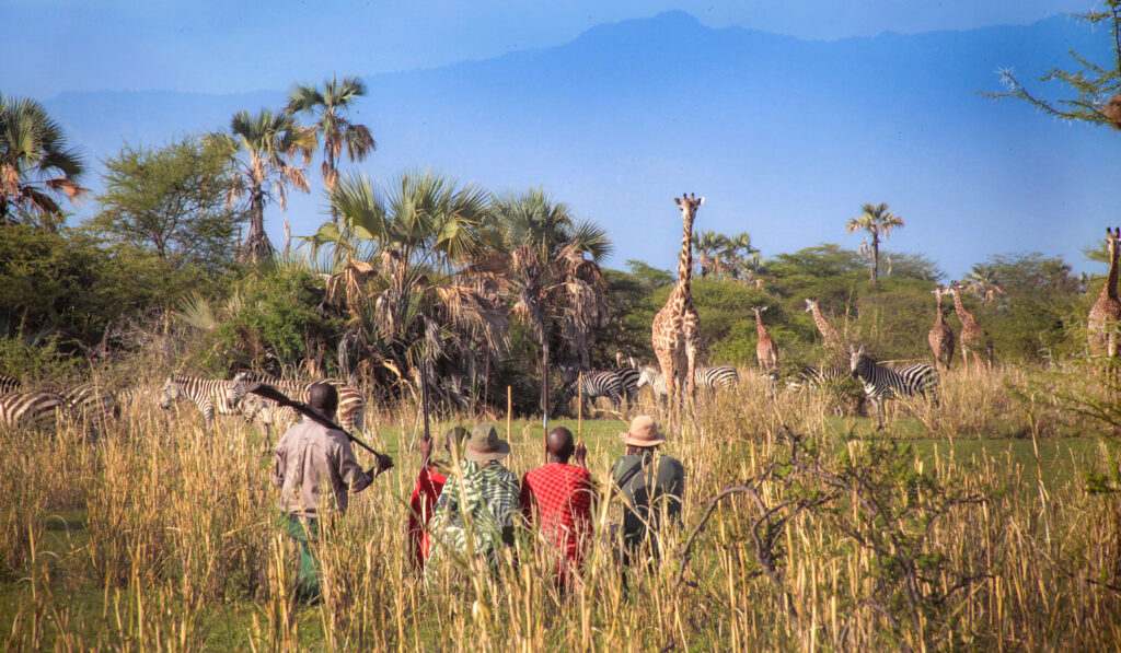 exploring tanzania wilderness on foot