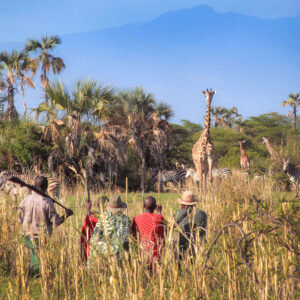 exploring tanzania wilderness on foot