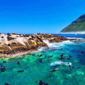 Spectacular South Africa  9 Days
