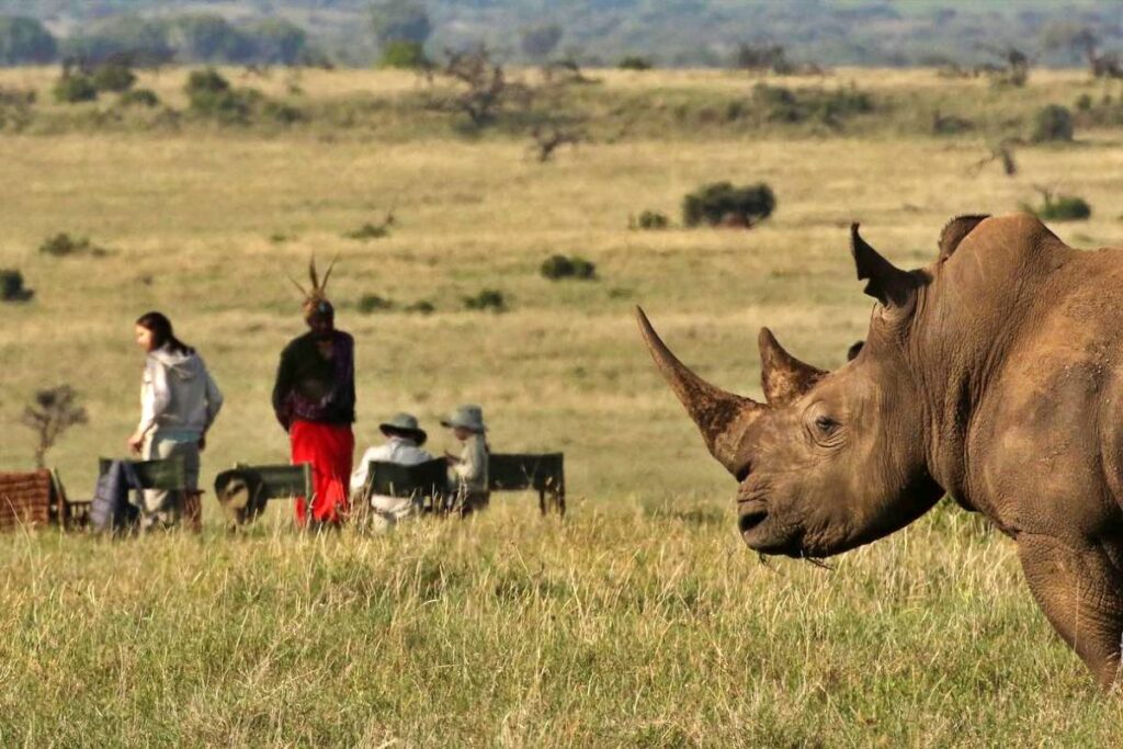 spotting the rhino in kenya with a local guide